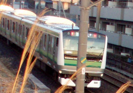 横浜線E233